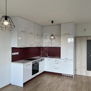 Pronájem bytu 3+kk 96 m² Praha, Olšanská