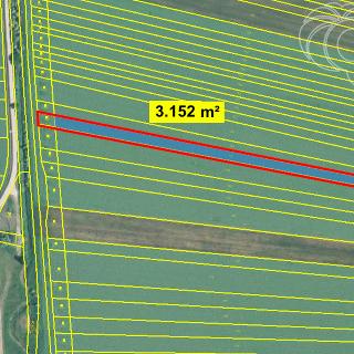 Prodej podílu zemědělské půdy 3152 m² Javorník