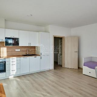 Pronájem bytu 1+kk a garsoniéry 34 m² Hluboká nad Vltavou, Munická