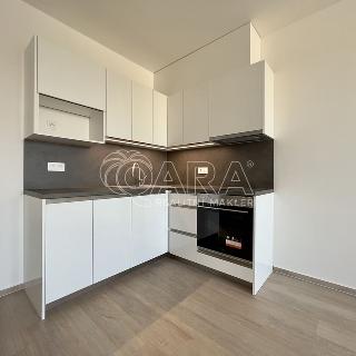 Pronájem bytu 1+kk a garsoniéry 41 m² Brno, Sokolova