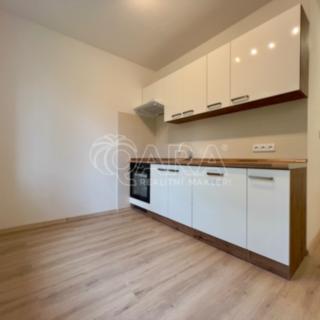 Pronájem bytu 1+1 30 m² Brno
