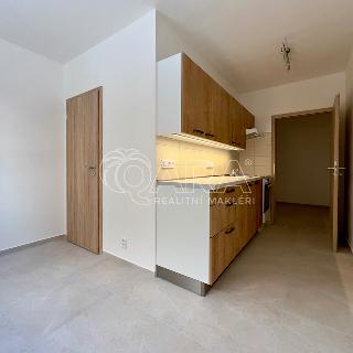 Pronájem bytu 2+1 52 m² Brno, Výletní