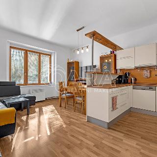 Pronájem bytu 2+kk 56 m² Praha, Hellichova