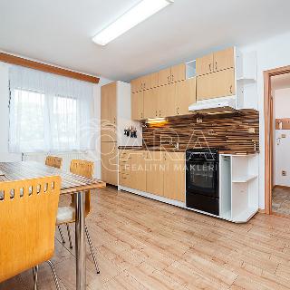 Pronájem bytu 2+1 51 m² Praha, Konopišťská