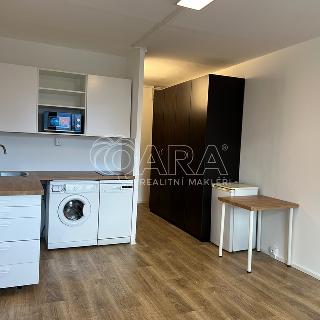 Pronájem bytu 1+kk a garsoniéry 24 m² Praha, Jabloňová