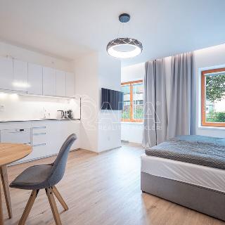 Pronájem bytu 1+1 30 m² Ostrava, Na Fifejdách