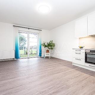 Pronájem bytu 2+kk 41 m² Holubice, Habrová