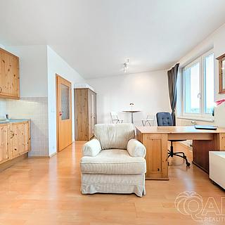 Prodej bytu 1+kk, garsoniery 30 m&sup2; Praha