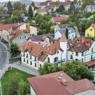 Prodej hotelu a penzionu 500 m² Příbor, Švédská