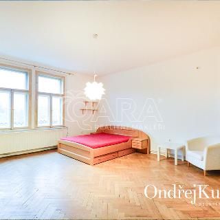 Pronájem bytu 1+1 57 m² Praha