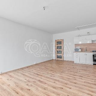 Pronájem bytu 1+kk a garsoniéry 32 m² Bohumín, Tovární