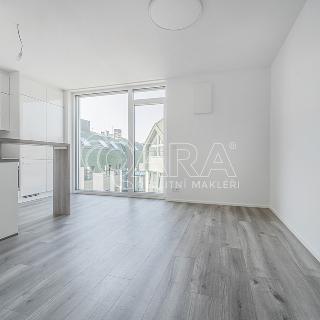 Pronájem bytu 1+kk a garsoniéry 27 m² Praha, Za Lužinami