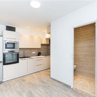 Pronájem bytu 2+1 45 m² Tábor, Krakovská