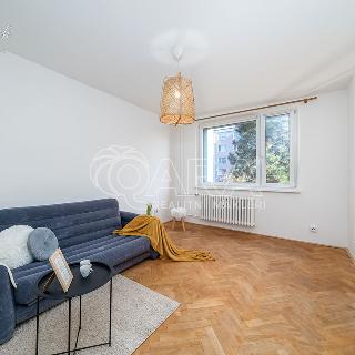 Prodej bytu 2+1 58 m² Zábřeh, Severovýchod