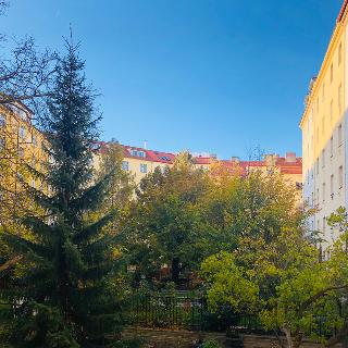 Pronájem bytu 2+1 63 m² Praha, Na Folimance