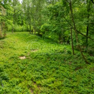 Prodej stavební parcely 5519 m&sup2; Hrubá Skála