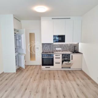 Pronájem bytu 1+kk, garsoniery 32 m² Praha