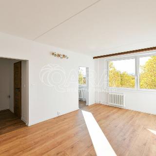 Pronájem bytu 1+kk a garsoniéry 31 m² Praha, Ledvinova