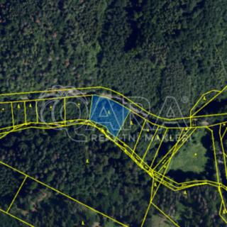 Prodej lesa 2 035 m² Lelekovice