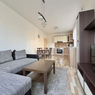 Pronájem bytu 2+kk 48 m² Brno, Sedláčkova