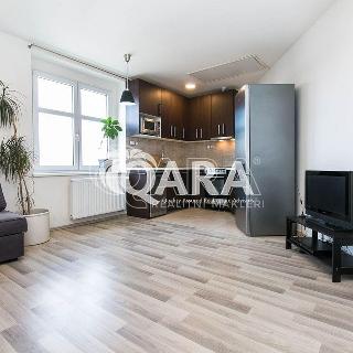 Pronájem bytu 2+kk 41 m² Praha, V korytech