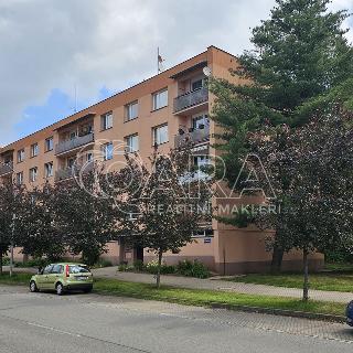 Pronájem bytu 1+1 38 m² Trutnov, U Pramene