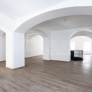 Pronájem obchodu 379 m² Praha Nové Město, Truhlářská