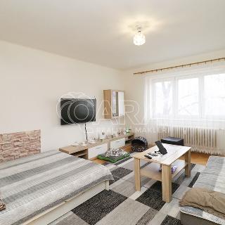 Pronájem bytu 2+1 50 m² Praha, Horňátecká