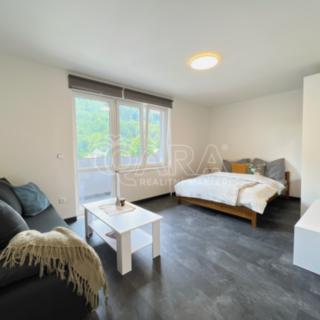 Prodej bytu 1+1 32 m² Město Albrechtice Hynčice