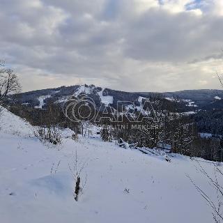 Prodej lesa 2 926 m² Albrechtice v Jizerských horách