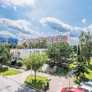 Pronájem bytu 1+1 38 m² Praha, Havířovská