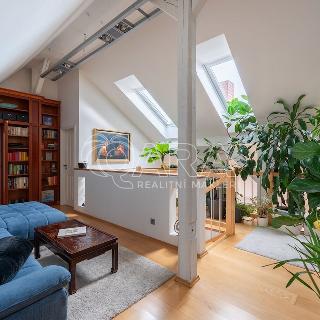 Prodej bytu 5+1 a více 250 m² Praha