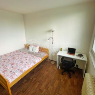 Pronájem pokoje 11 m² Brno