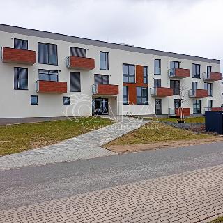 Pronájem bytu 2+kk 56 m² Brandýs nad Labem-Stará Boleslav, Generála Sedláčka