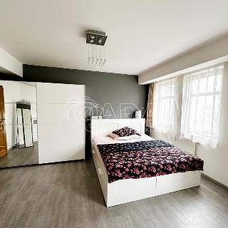 Pronájem bytu 2+kk 52 m² Praha, Dalimilova