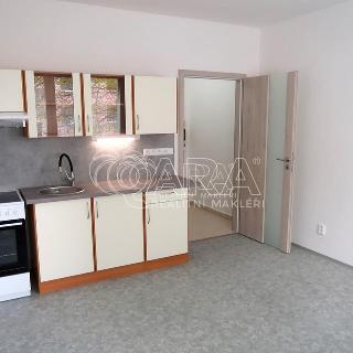 Pronájem bytu 1+kk a garsoniéry 23 m² Prachatice, nám. Přátelství