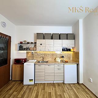 Prodej bytu 1+kk, garsoniery 16 m&sup2; Benešov nad Ploučnicí