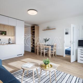 Pronájem bytu 2+kk 43 m² Praha, Zárubova