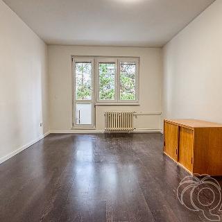 Pronájem bytu 2+1 53 m² Praha, Hvozdíková