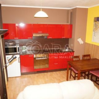 Prodej bytu 1+kk, garsoniery 32 m² Deštné v Orlických horách