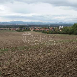 Prodej lesa 9 308 m² Slavětín, 