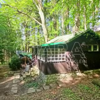 Prodej chaty 40 m² České Lhotice