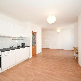 Pronájem bytu 1+kk a garsoniéry 40 m² Praha, Ginzova