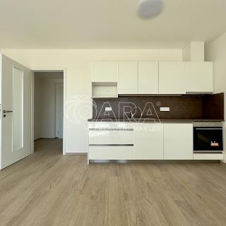 Pronájem bytu 1+kk a garsoniéry 37 m² Brno, Sokolova