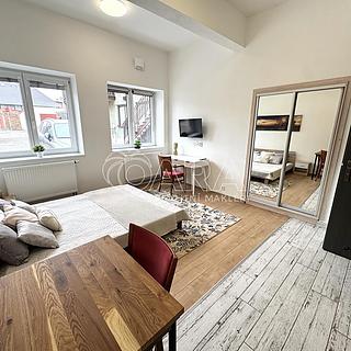 Prodej bytu 1+kk, garsoniery 26 m&sup2; Kutná Hora