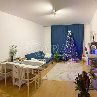 Pronájem bytu 2+kk 50 m&sup2; Praha
