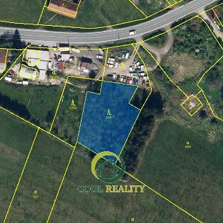 Prodej lesa 1 790 m² Vamberk, 