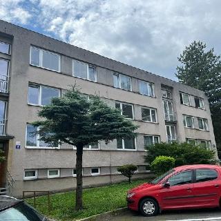 Prodej bytu 3+1 82 m² Svitavy, Družstevní