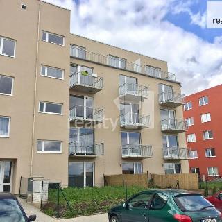 Prodej bytu 1+kk a garsoniéry 32 m² Hostivice, Ječná