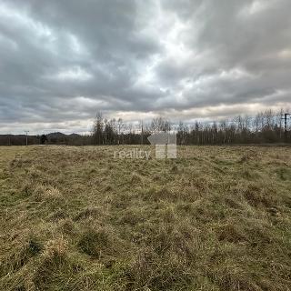 Prodej louky 8 569 m² Stráž pod Ralskem, Stráž pod Ralskem